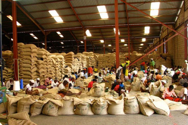 e-warehousing for smallholder farmers in Kenya