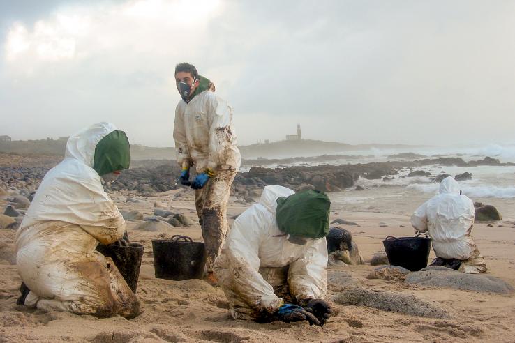 Four people wearing white hazard suits clean up oil on a beach
