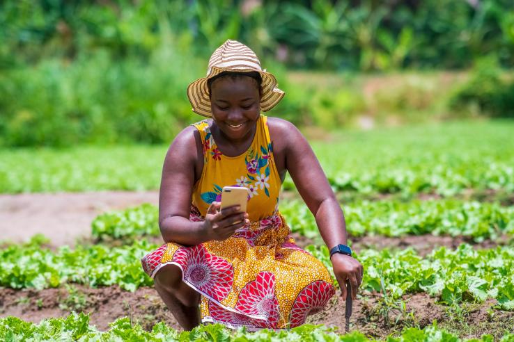 Woman farmer on her phone in agricultural field